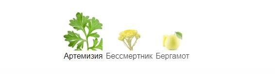 fragrantica.ru