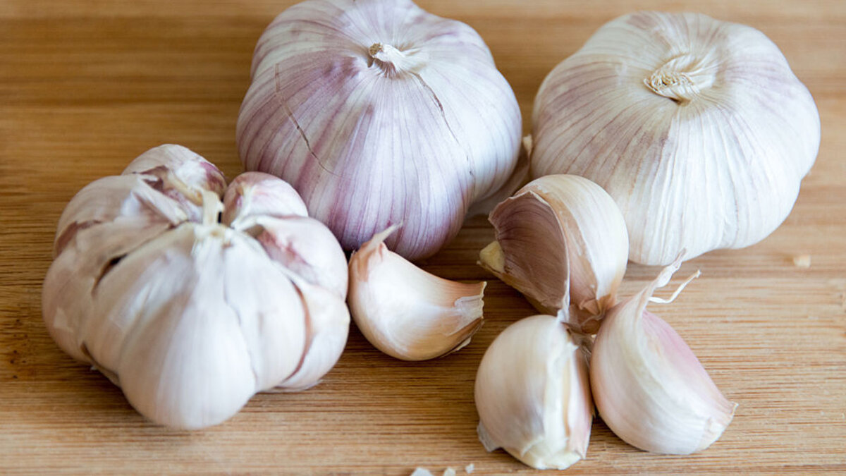 Чеснок "Богатырь"