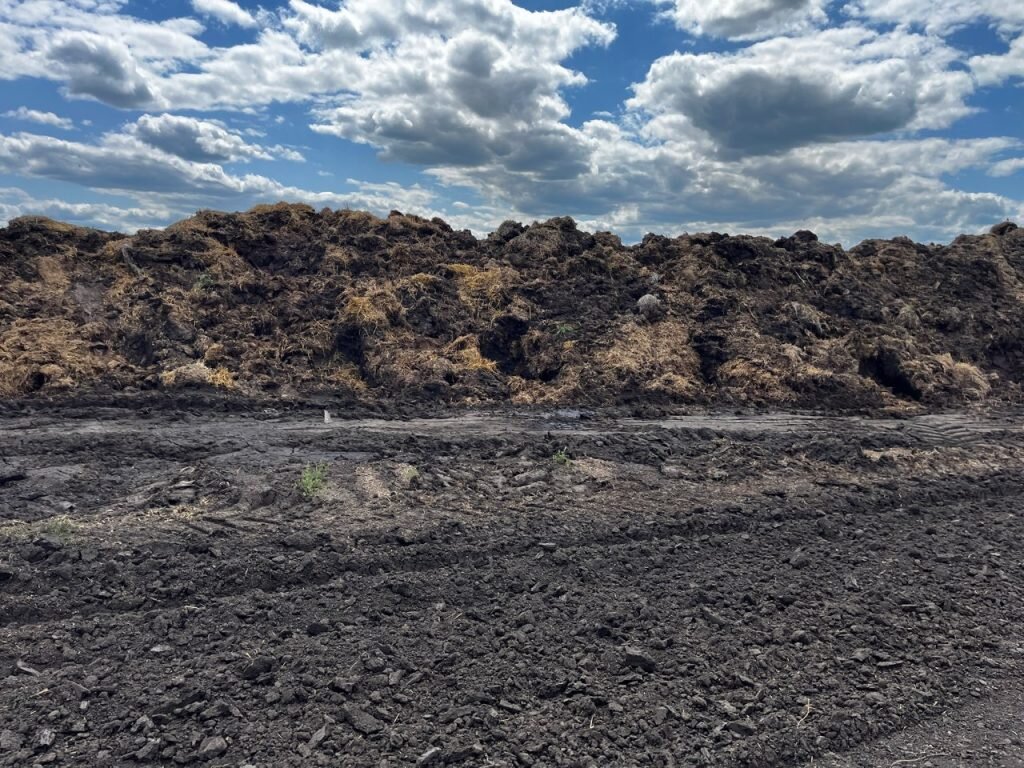 Результаты лабораторных исследований выявили микробиологическое загрязнение почвы