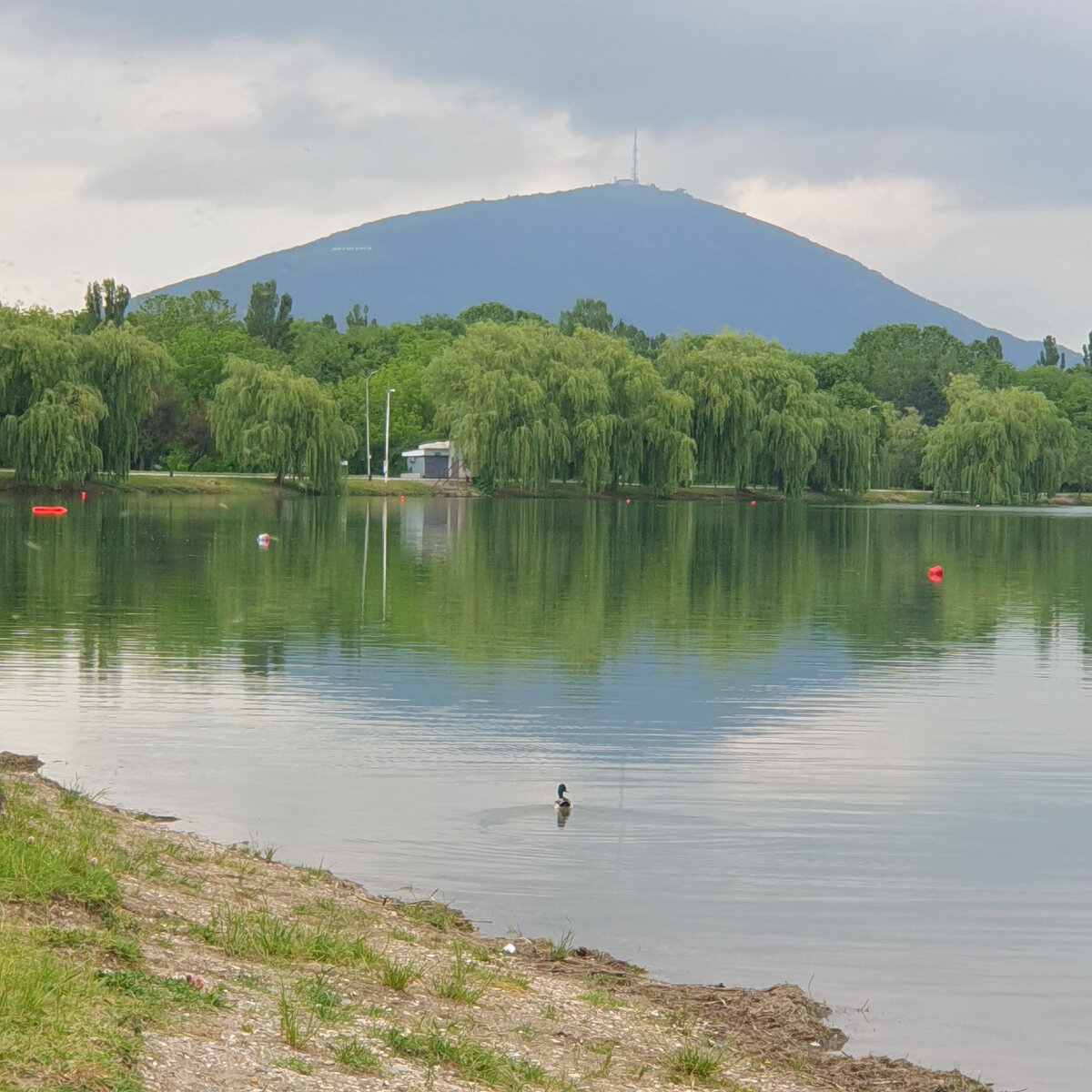 Озеро пятигорск фото КМВ. Пятигорск. Вчера, сегодня, завтра Дзен