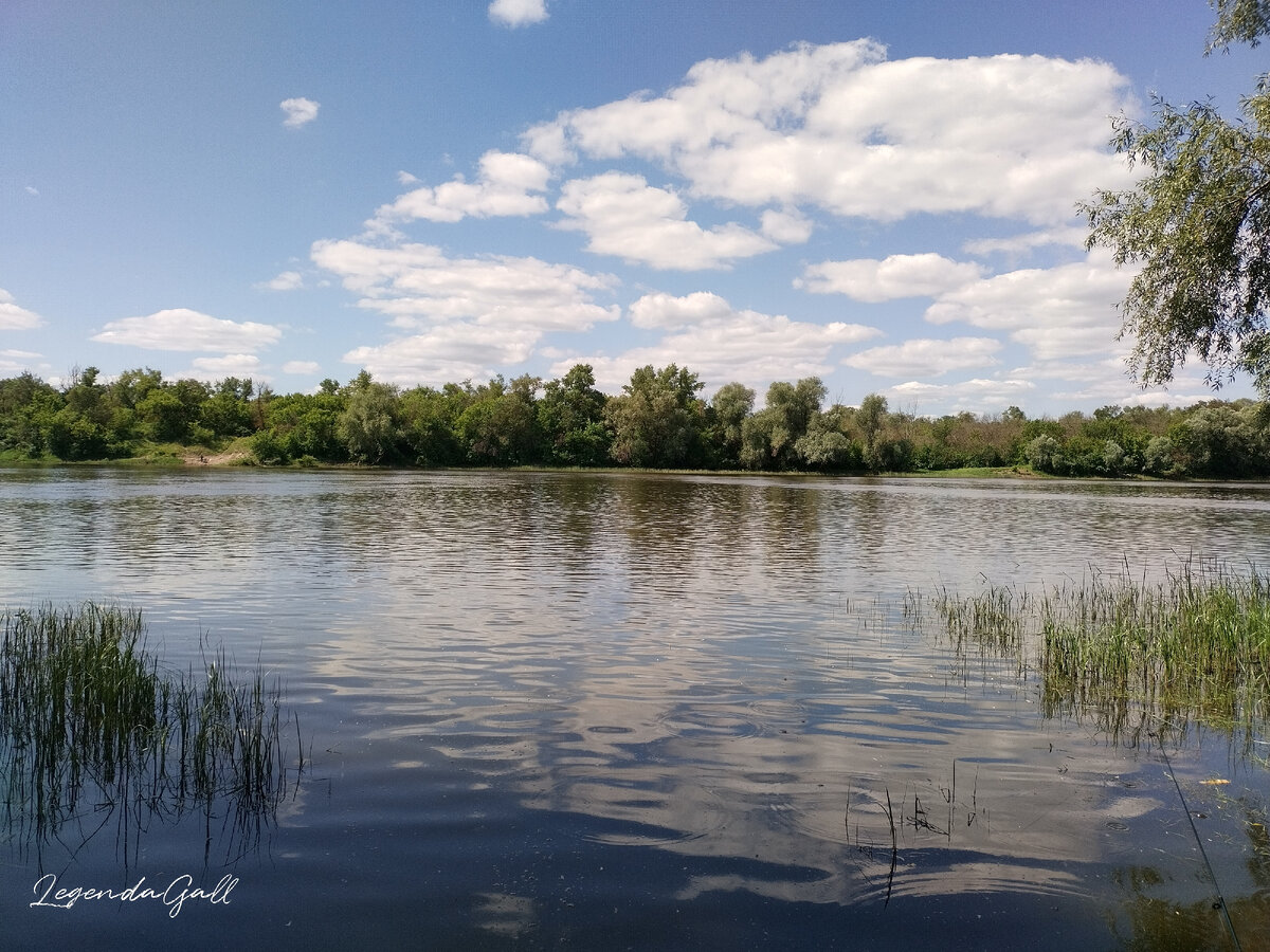 Мое рыбное местечко