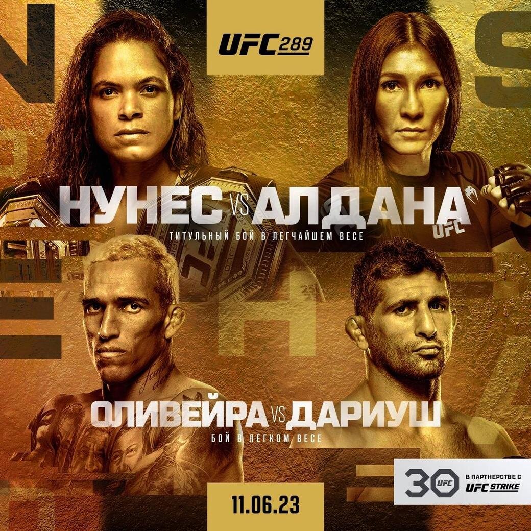     UFC 289