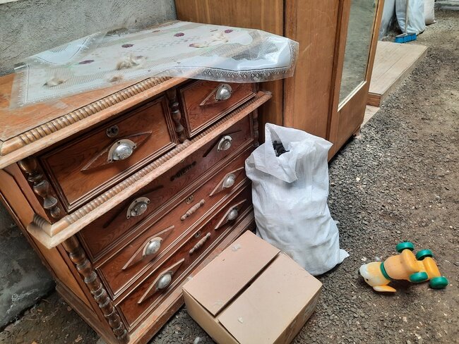 Картина после кошачьего боя