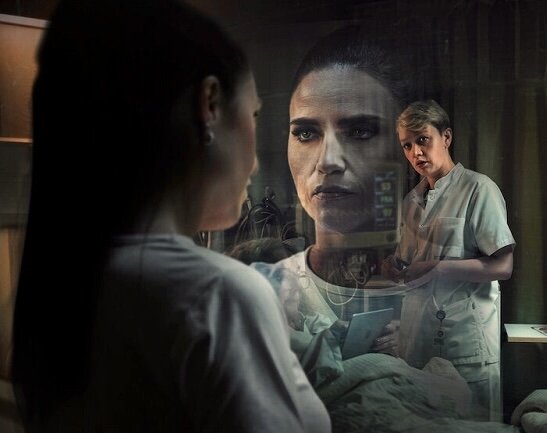 Триллер, драма, преступление, биография. Дания. 1 сезон (4 серии)