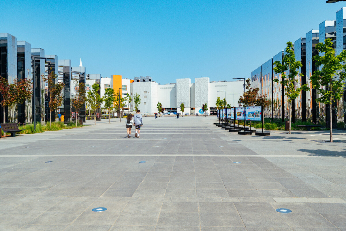 Главная прогулочная аллея парка. Фото: Про Мой район