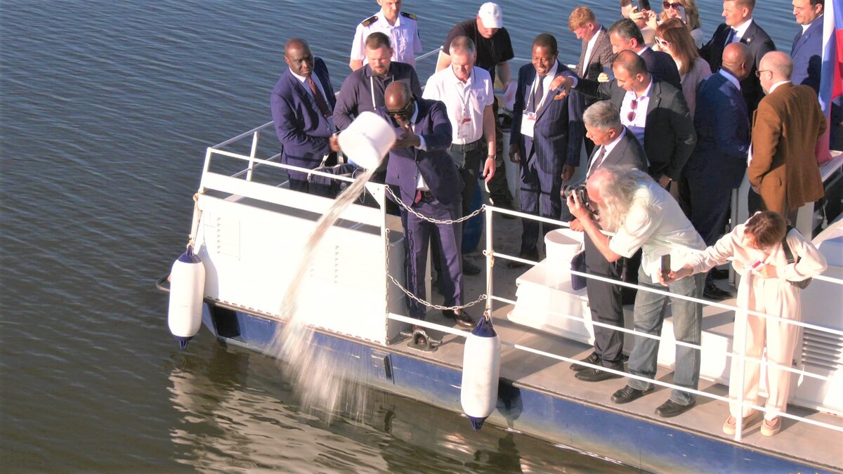    Участники IT-форума выпустили в большое плавание мальков осетра