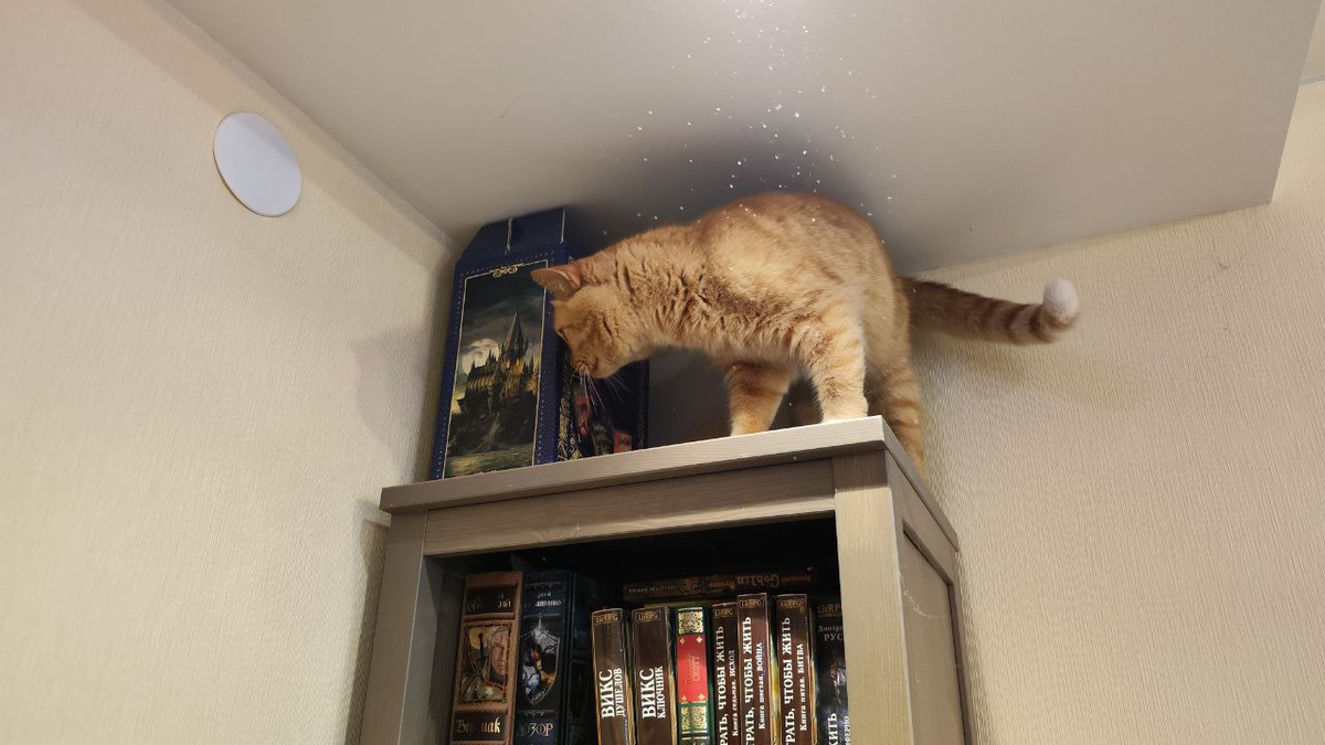 Филя взял новую высоту. 