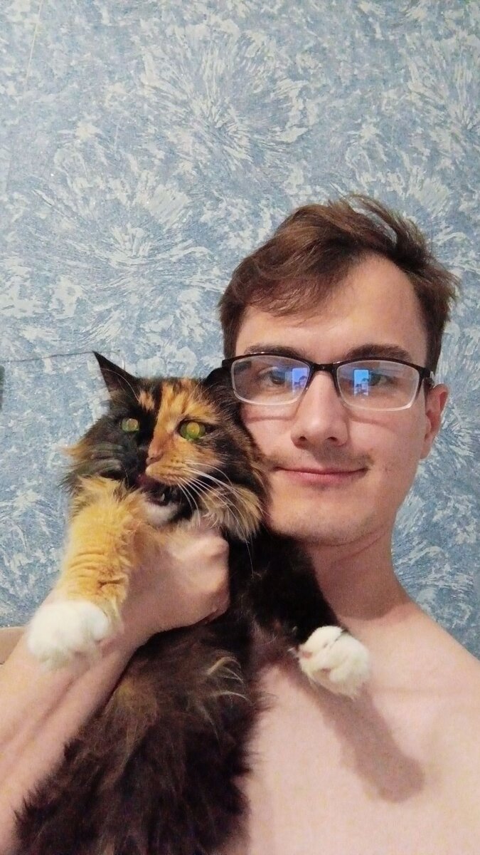 Отправляем резюме с кошкой