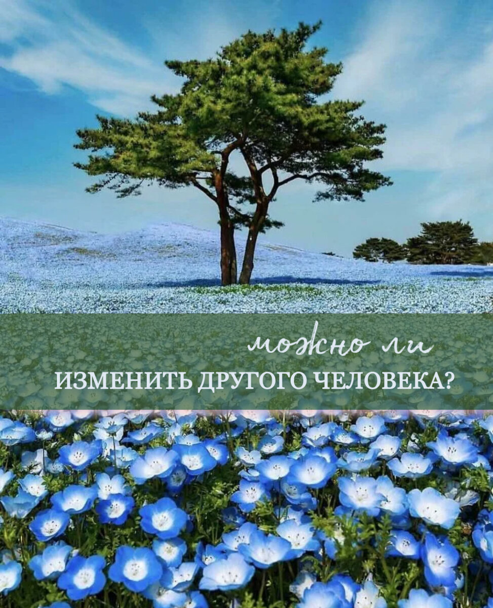 Анализ совместимости пары на основе психоматрицы по дате рождения
