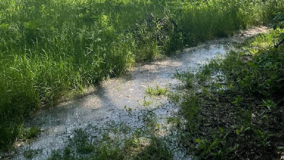     В Котово Волгоградской области отобрали пробы воды и почвы после фекального потопа. На место коммунального происшествия выезжали специалисты облкомприроды.