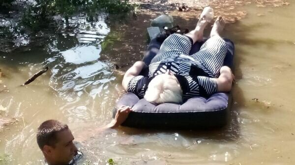    © Telegram-канал председателя правительства Херсонской области Андрея Алексеенко