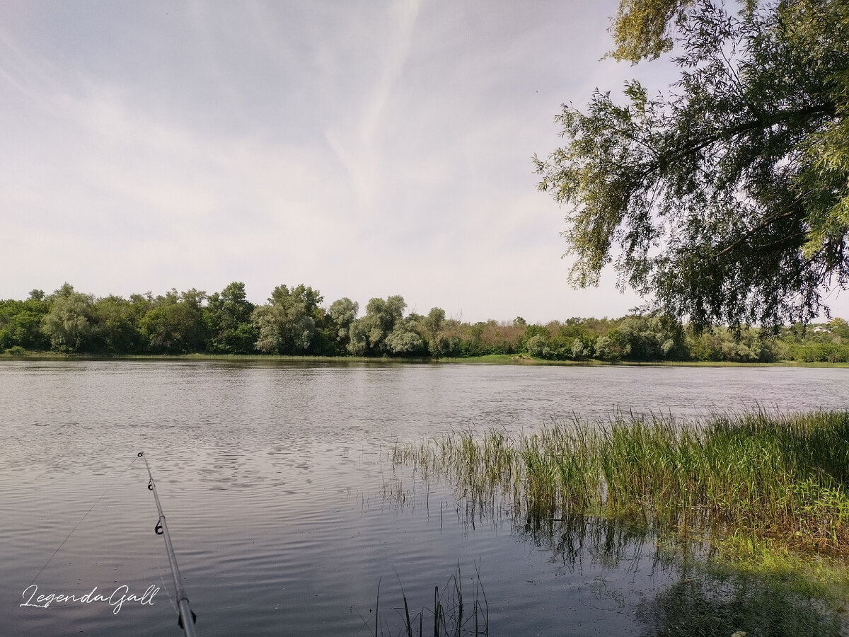 Утро. Небо почти ясное, ветерок пока очень слабый