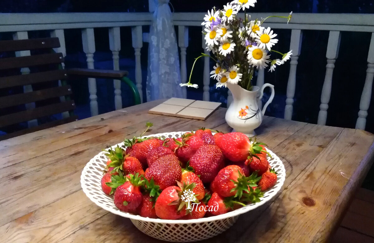 Соя клубника.