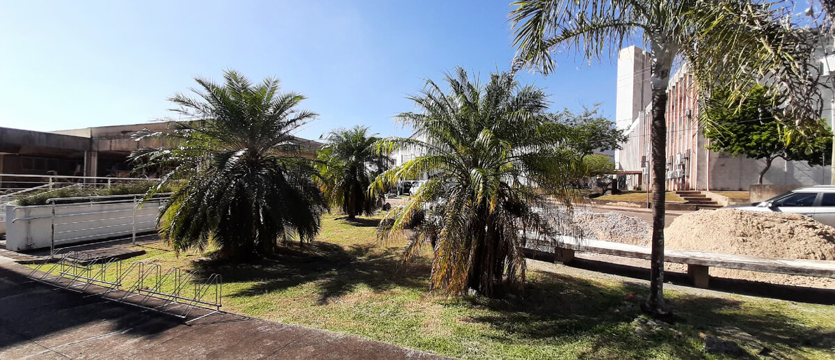 Территория Уникампа (это универ, где обучаюсь португальскому языку).