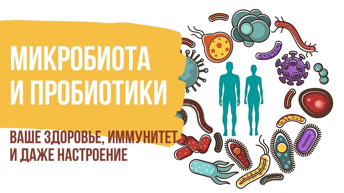 RUC1 - Способ лечения инфекции helicobacter pylori у взрослых - Google Patents