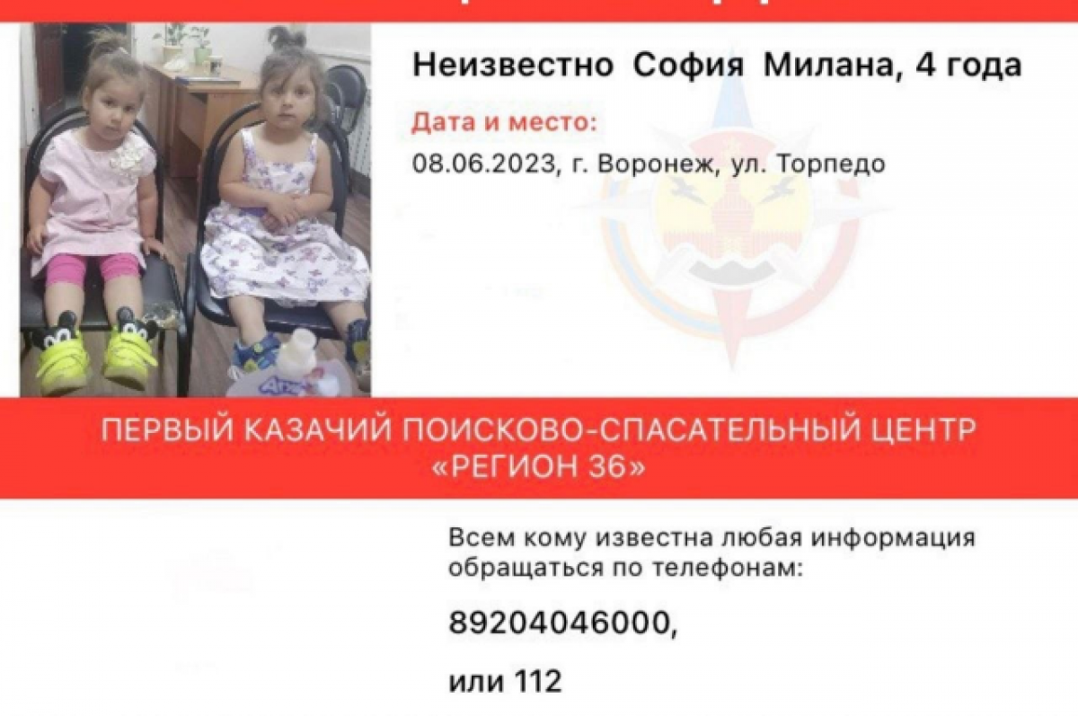    Жительница Воронежа нашла на улице двух 4-летних девочек без родителей