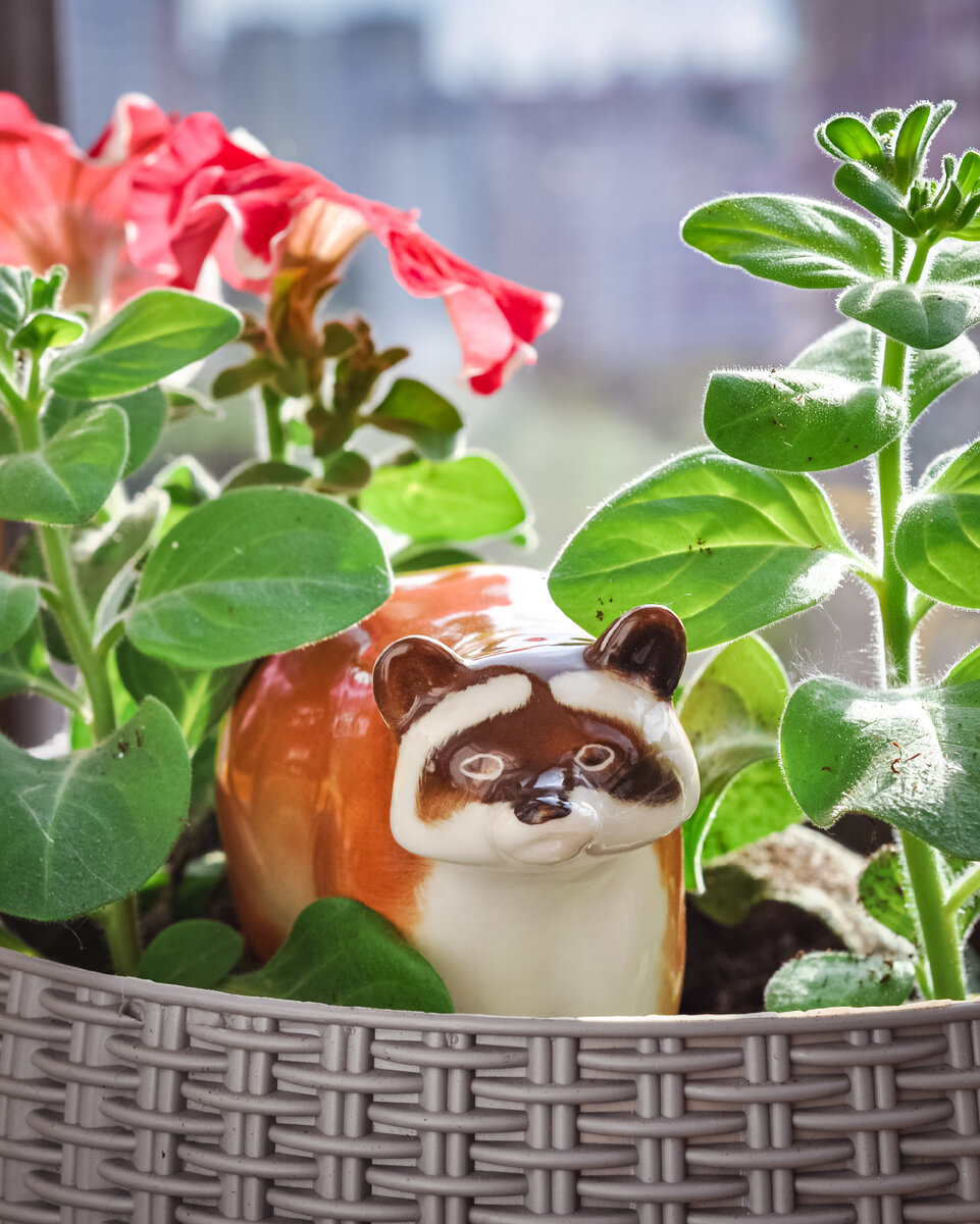 Скульптура «Енот». ЛФЗ, 1960-е. Автор формы Павел Павлович Веселов, автор росписи Виктор Михайлович Жбанов