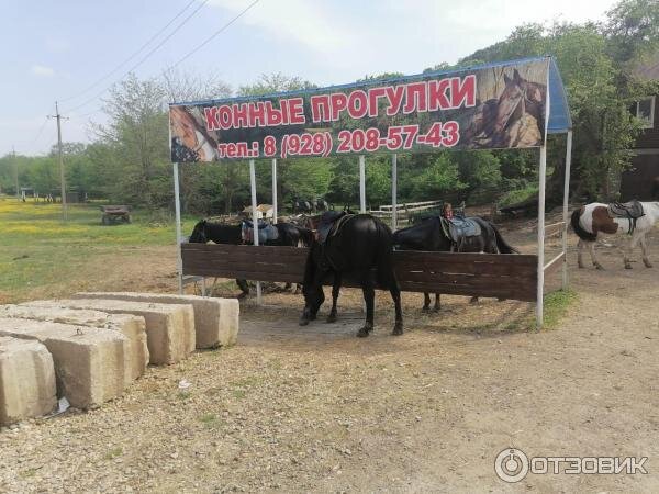 Конная база в ст. Шапсугской Краснодарского края (фото из открытых источников).