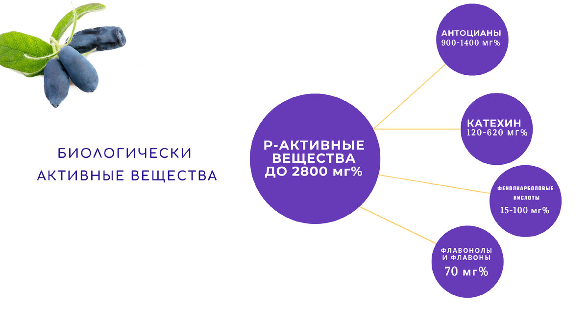 Это сложные понятия для обывателя, но не так всё сложно! 