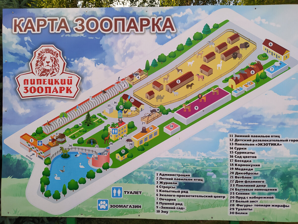 Карта зоопарка на входе