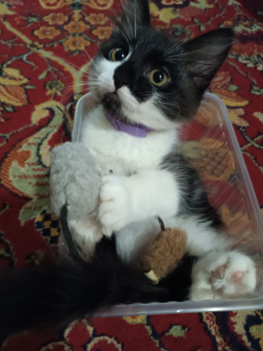 Фото от автора