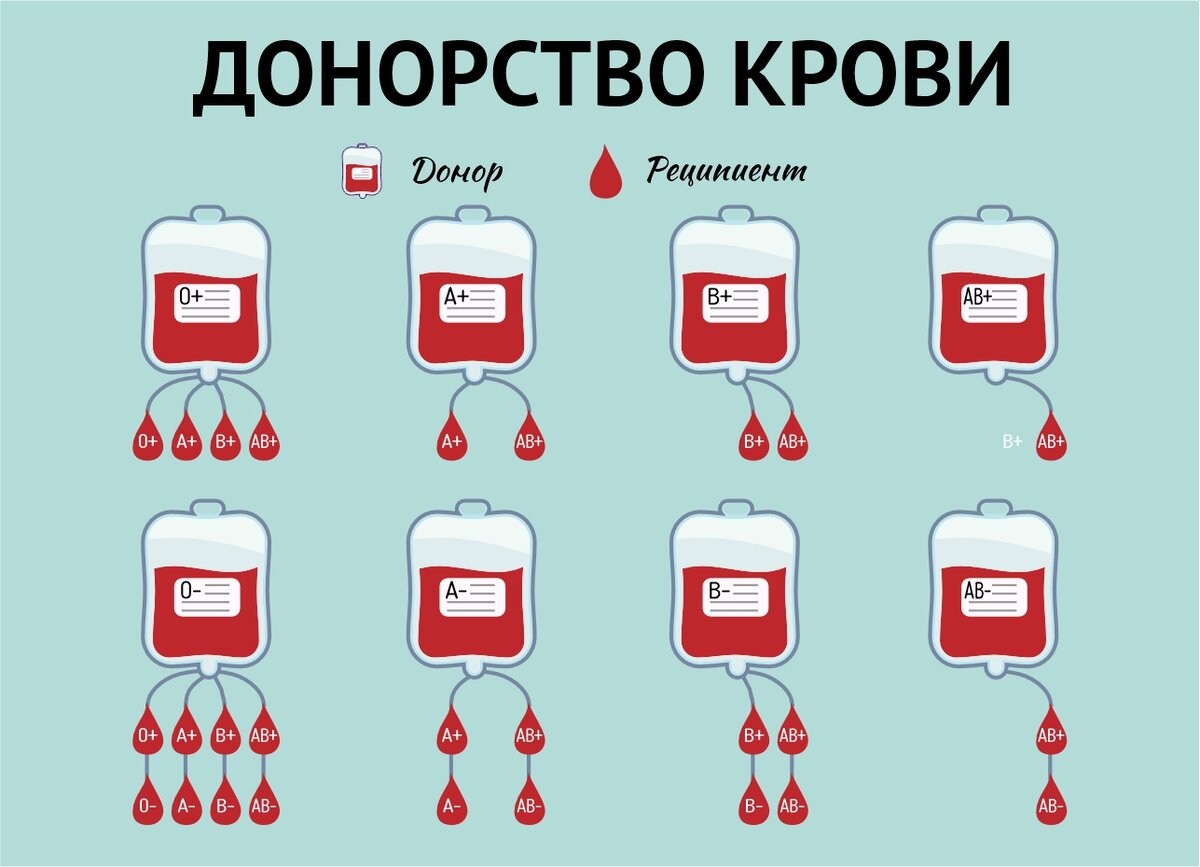 Какая группа крови самая редкая и почему?