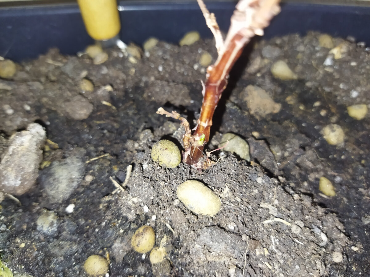 Фото из личного архива автора.