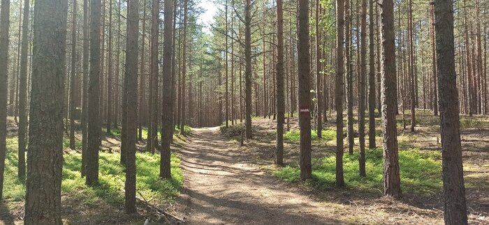 Полуостров Киперорт Выборгский район