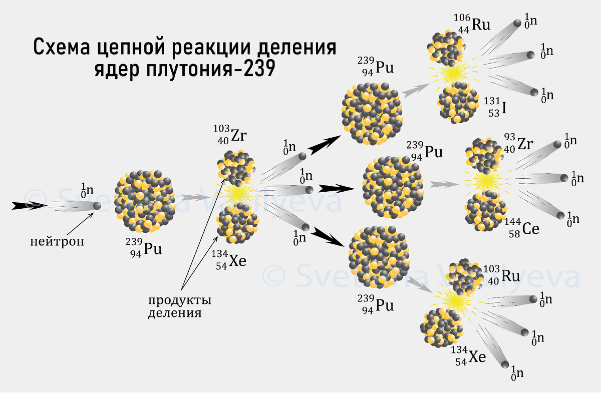 Автор — Светлана Васильева