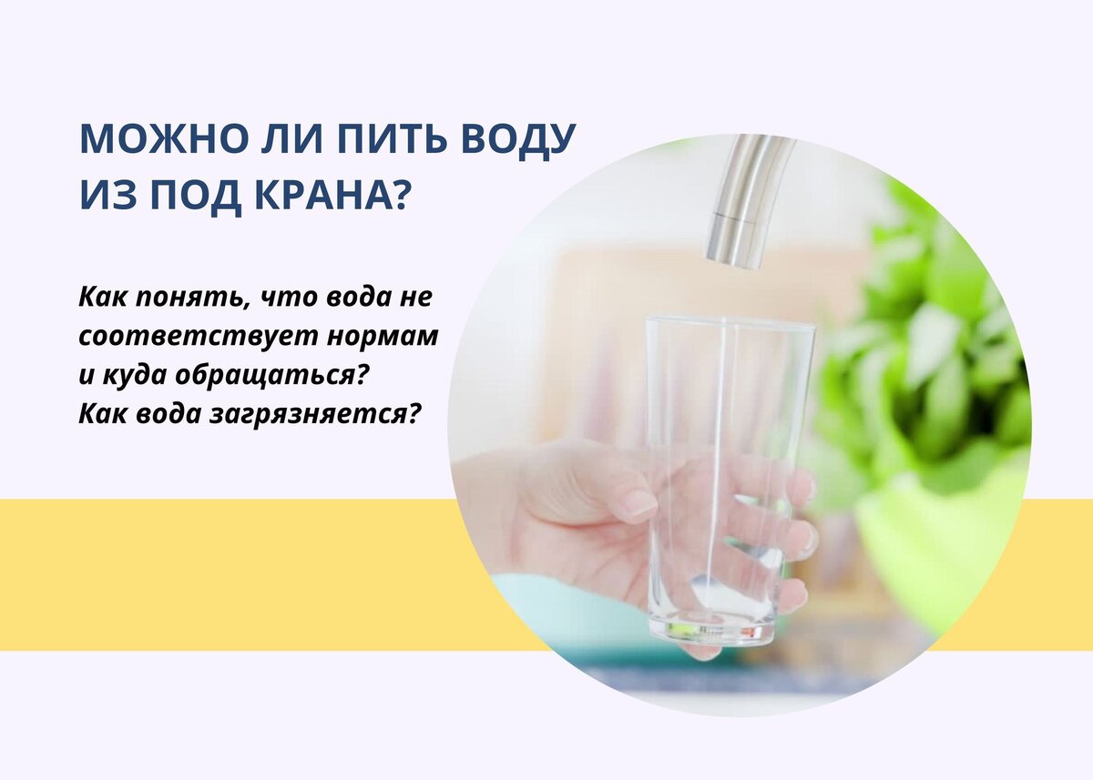 Можно ли пить воду из крана