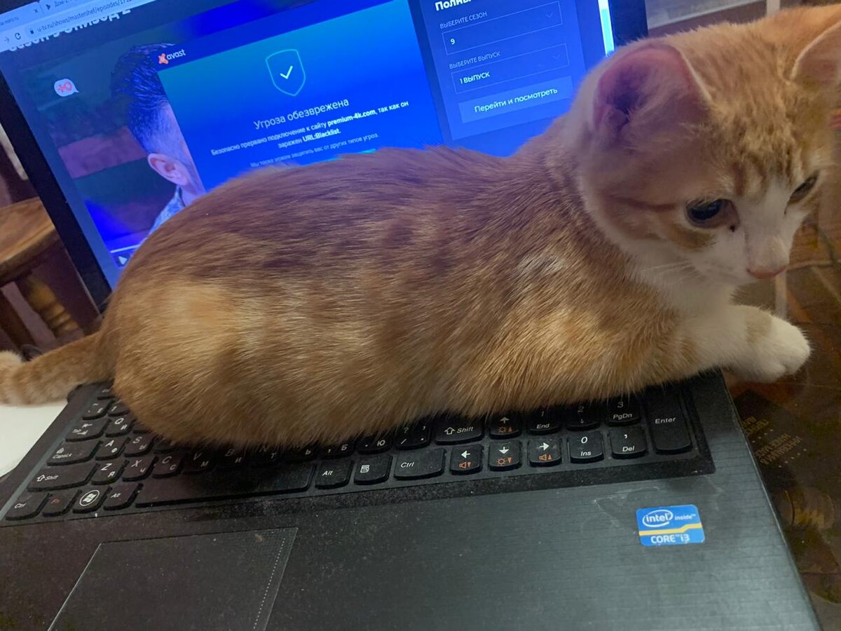 и тут тоже спорт включите!