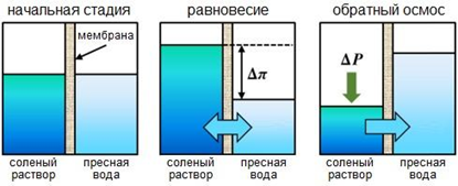 Обратный осмос – решение всех проблем? | WT Expert | Дзен