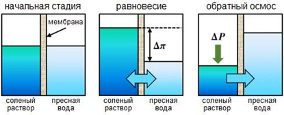 Процесс обратного осмоса: польза и эффективность метода