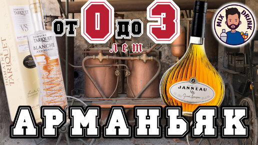 АРМАНЬЯК от 0 до 3 лет | Armagnac VS или Blanche 46% | Janneau, Domaine TARIQUET