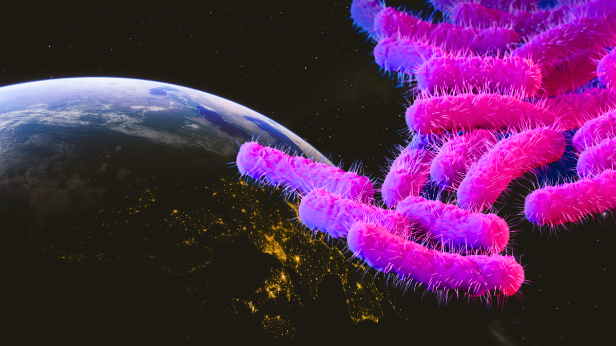 Микробы в крови. Бактерия попав. Бактерия попав. Бактерии попадают в организм. Clostridium botulinum заболевания.