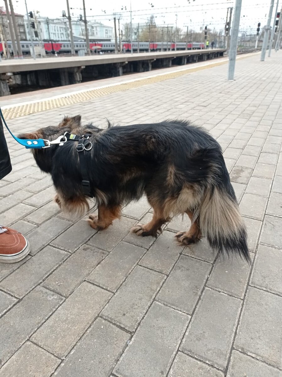 Приехала на поезде в свой новый город!