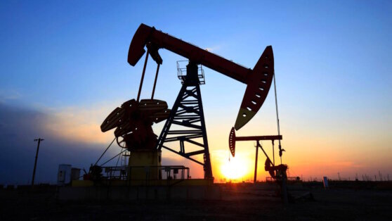    Часть стран ОПЕК+ начала добровольное сокращение добычи нефти Анна Белая