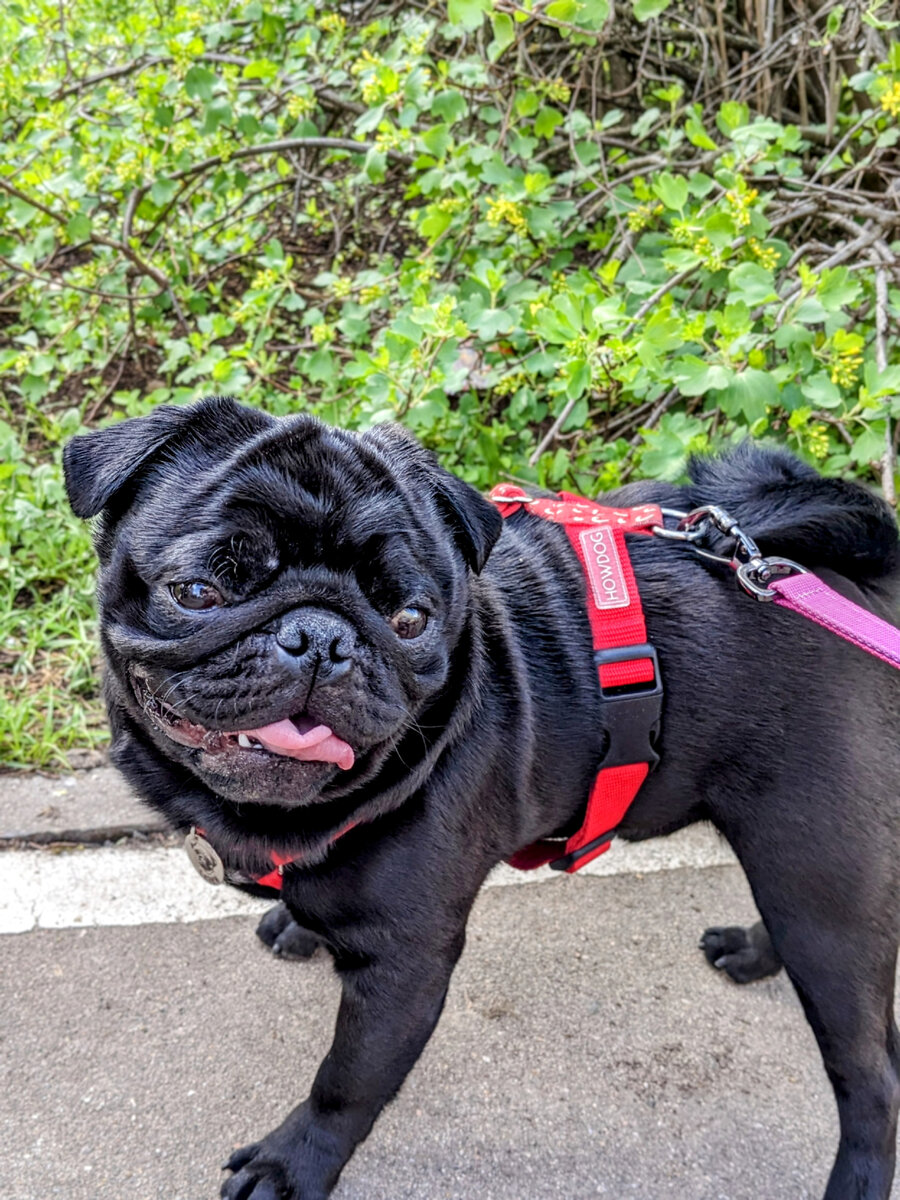 На прогулке 