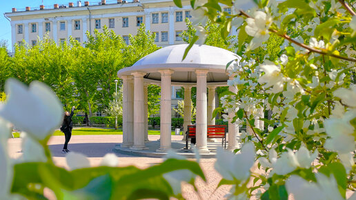 Екатеринбург почти Япония. Цветущие яблони - Весна 2023 (Май)