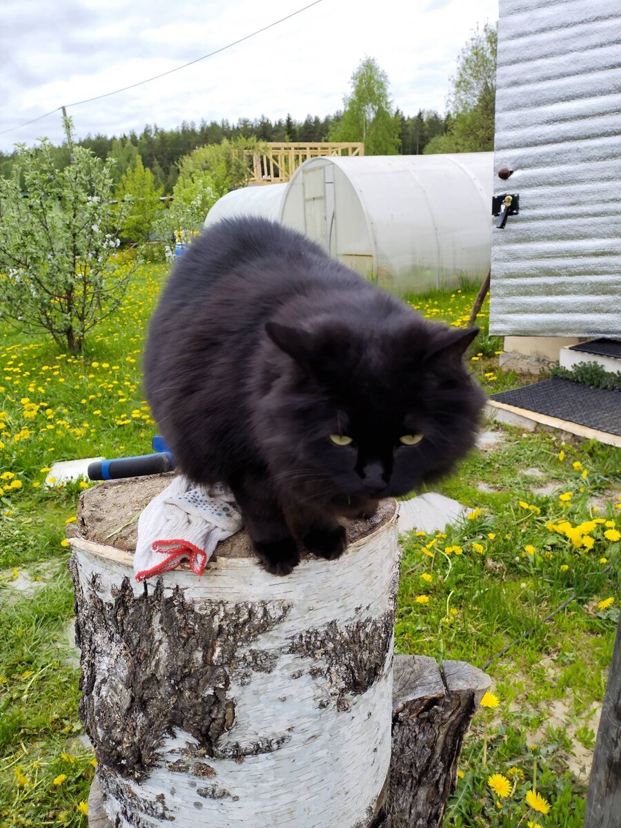 Мудрая и всё понимающая...