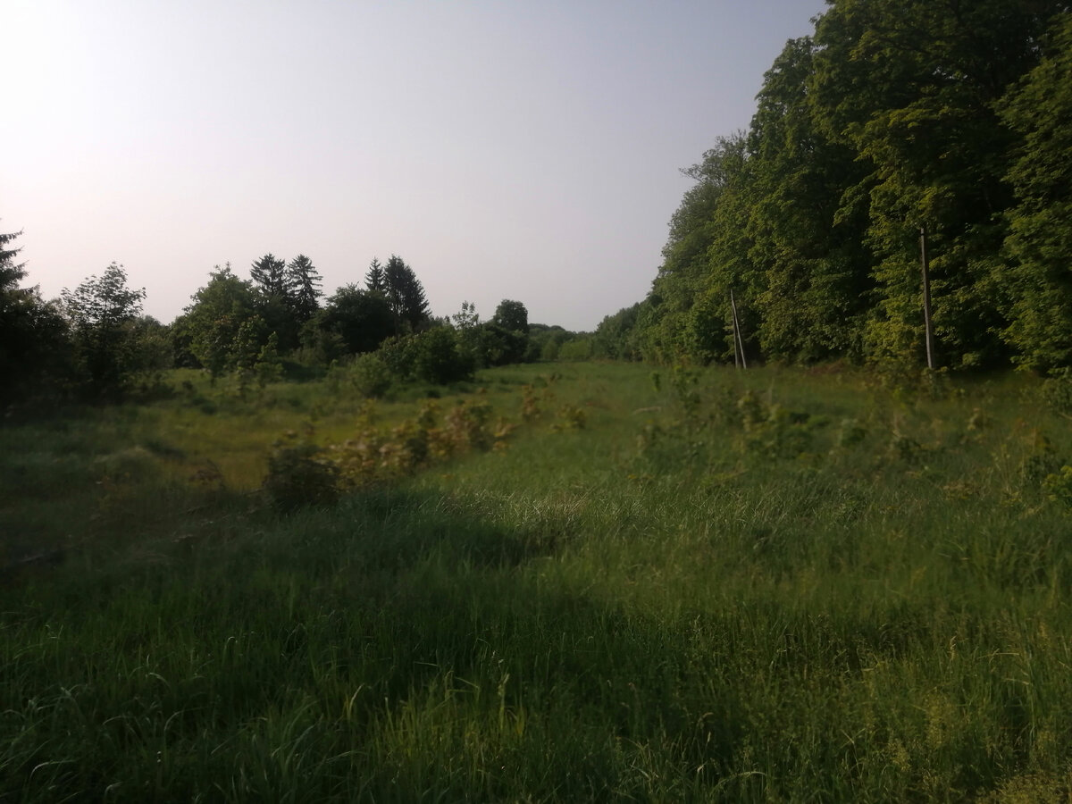 Дальше дороги нет