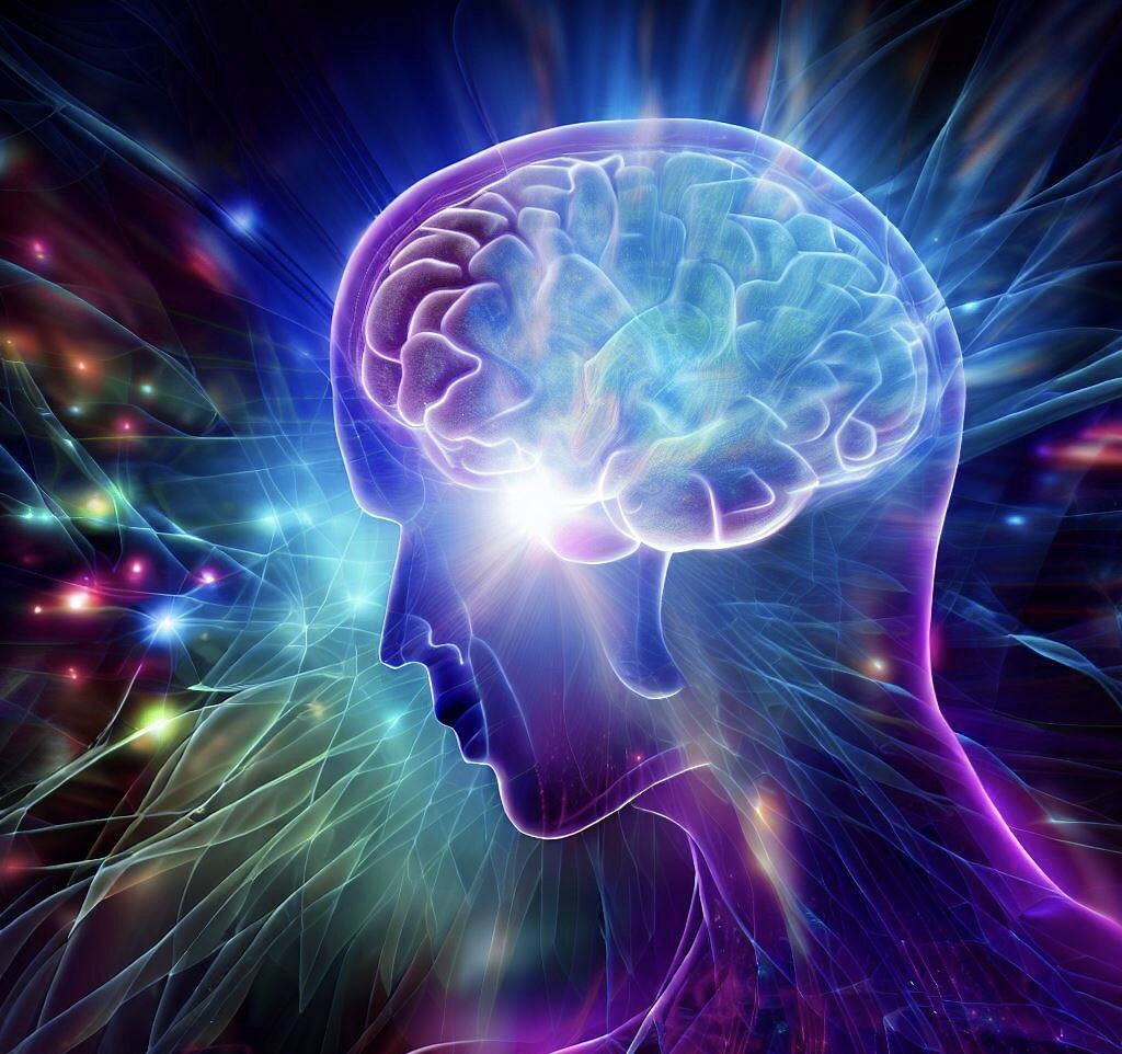 Сознание подобно компьютеру 