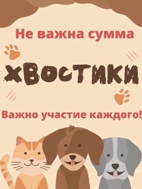    День для хвостика ,, 🐱🐕, мы не делали его на той неделе, но затрат ежедневно очень много, это и корм, наполнитель, передержки, на такое количество животных не успеваем писать   И так- каждую...