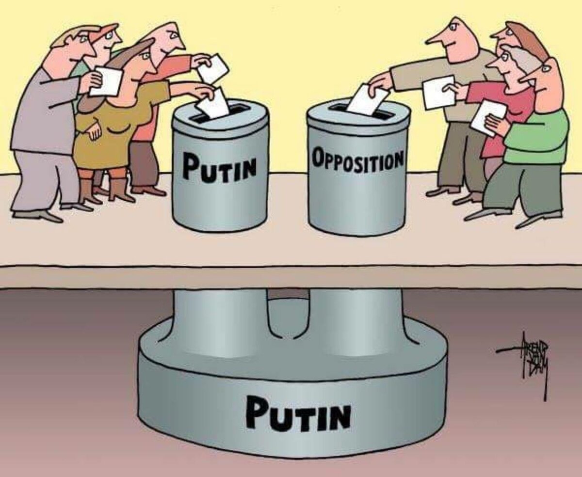 Выборы картинки прикольные