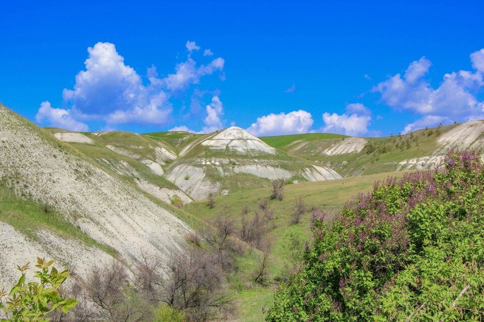    Тушнинские холмы