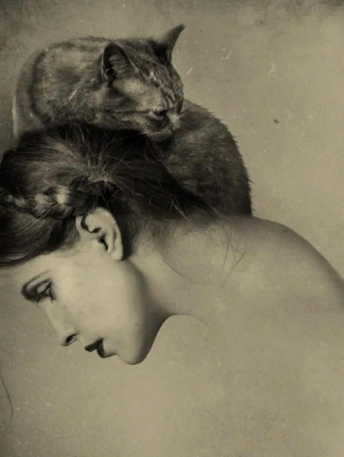 �������� - ������ ��������