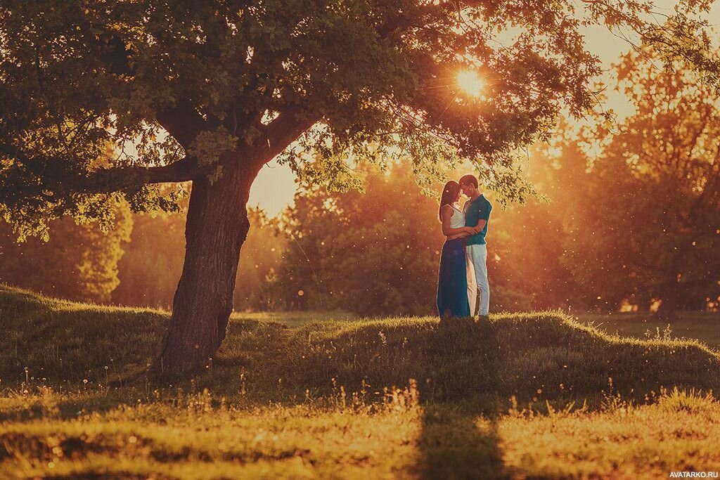 Из свободного доступа