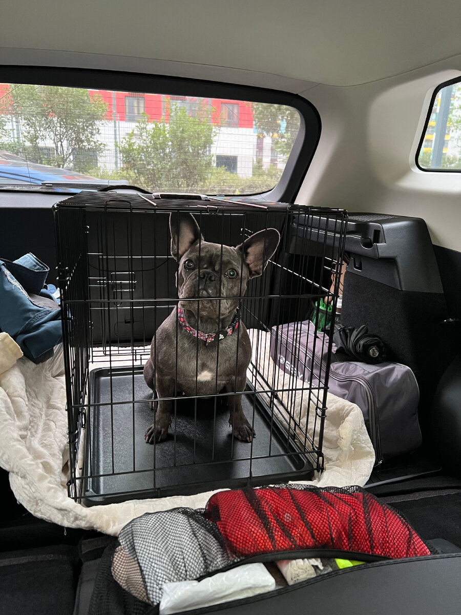 Мы кстати уехали из города в субботу, на всякий случай!