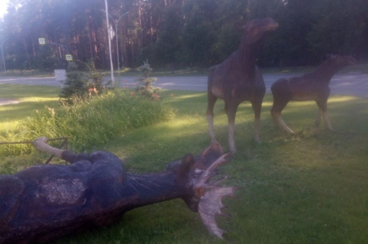    В Заречном повалили лося