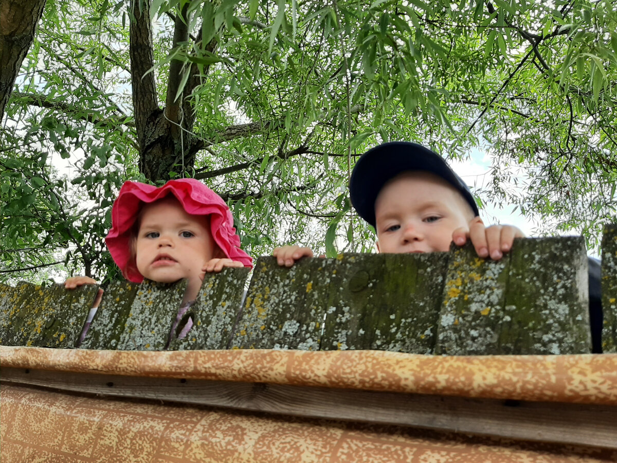 Два партизана😄